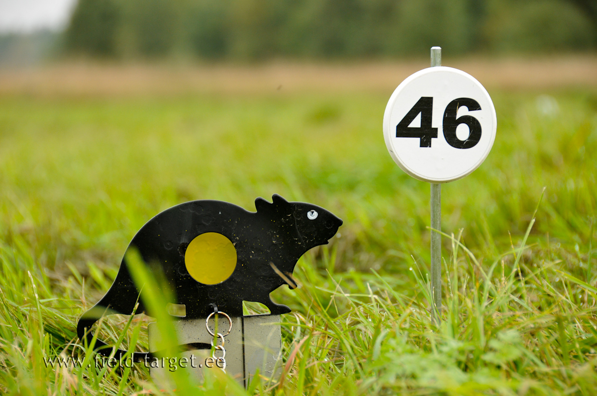 Veel üks viiekümnest, kes peab ka täna korduvalt langema